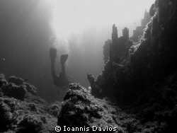 Slow dive....... by Ioannis Davios 
